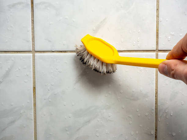 Best DIY Mold Remediation Support Services in Petoskey, MI