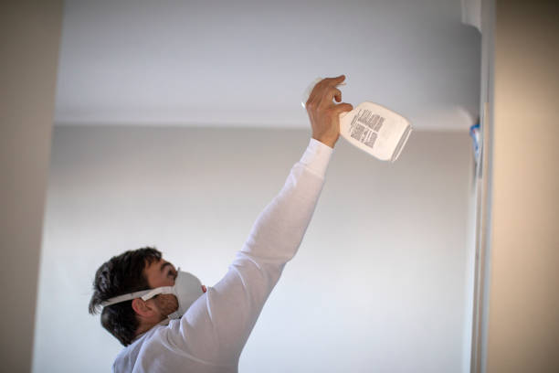 Best Health and Safety Mold Remediation in Petoskey, MI