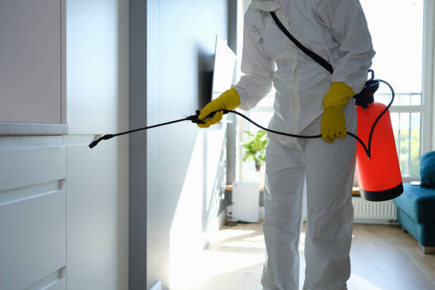Best HVAC Mold Remediation in Petoskey, MI